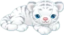 cute white tiger