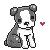 cute puppy