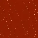 Chistmas background