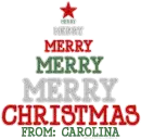 Merry Christmas From: Carolina
