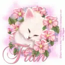 Fran