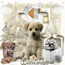 winter wishes