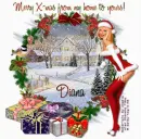 Merry Christmas. Fr: my home to yours.Diana