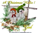 Christmas Hello
