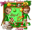 Merry Christmas Love it-Beata