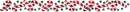 Christmas Divider