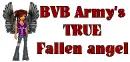 bvb