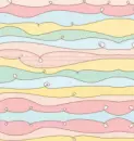 pretty design