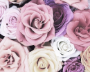 Roses background