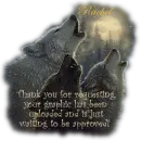 wolf pack your graphic is ready and awaiting approval Rachel