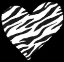 Zebra heart