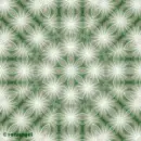 Background - green