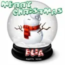 MERRY CHRISTMAS