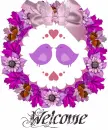 welcome 