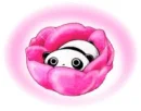 TARE PANDA