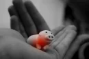 piggy