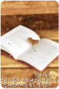 cutep3