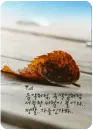 cutep7