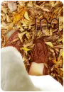 cutep10