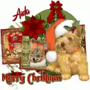 Aida