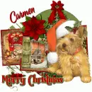 Carmen