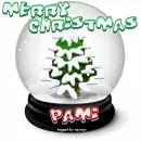 PAMI