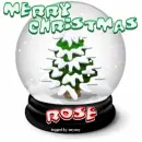 rose