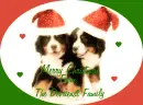 The Devriendt Family
