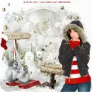 north pole