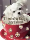 Thanks for being my friend