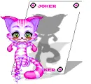 Joker Kitty