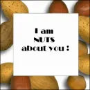 Nuts About You