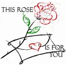 Rose for you