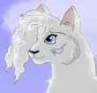 Silver Cat