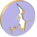 Witch on a Broom