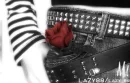 studded rose