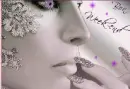 voin_angel