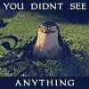 dont see anything