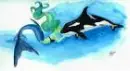 Mermaid with a Orca