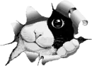 Kitty