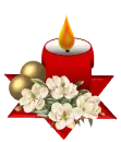 Lit Candle and Flowers