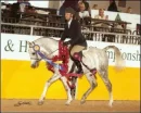 Horses