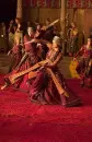 Eurasian Dancer