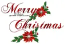 Merry Christmas -Poinsettia