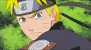 Team 7