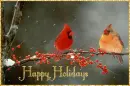 Happy Holidays
