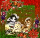 Merry Christmas my friend