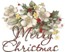 Merry Christmas my friend