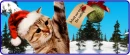 Christmas Cat
