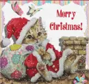 Merry Christmas